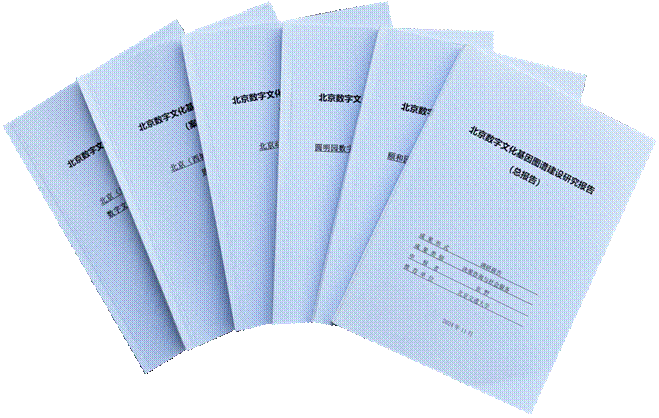 报告照片2